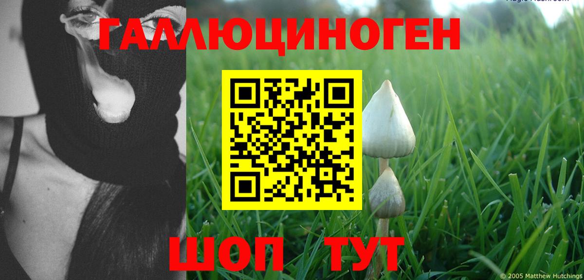 Галлюциногенные грибы Cubensis Строитель